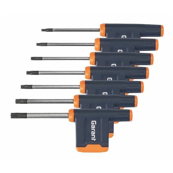 Screwdriver set for Torx Plus®, with 2-component wing handle  7