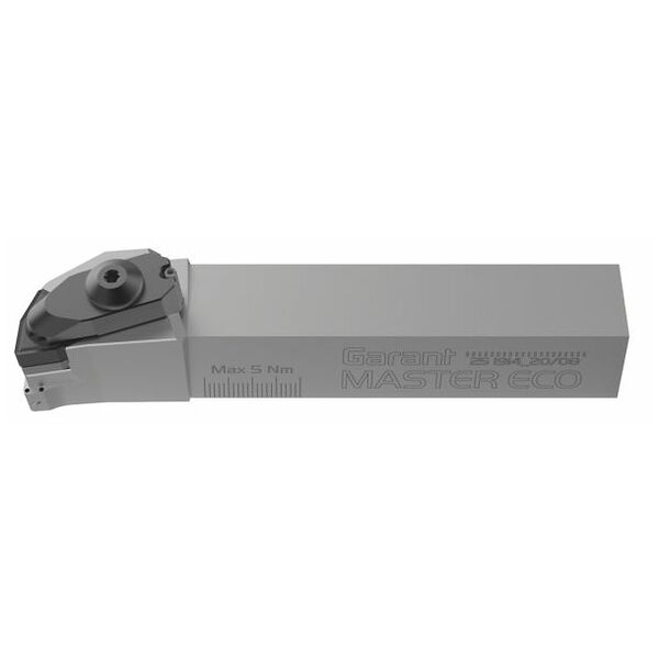 GARANT Master Eco screw-on toolholder  20/08 mm