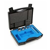 E1 1 g -  200 g Set of weights in plastic carrying case, Stainless steel