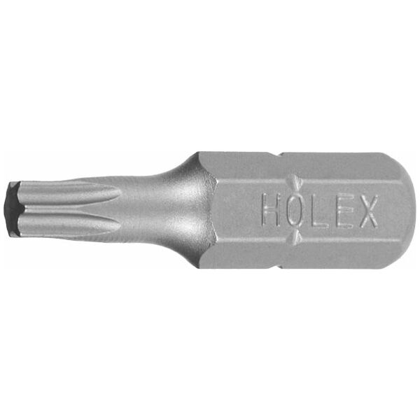 1x sicherheitstorx Torx with Inner Hole TX10 Bit 
