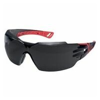 Žehlící brýle uvex pheos cx2 šedá infračervená ochrana 5,0 infr. plus 9198175