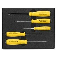 ESD screwdriver for Phillips and Pozidriv, Number of tools: 5