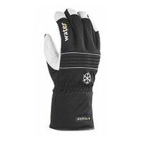 Pair of cold protection gloves Tegera® 296