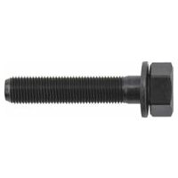 Șurub SW 17 pentru pumnul metalic 35511, 35513 și 35515, M 10 x 1 mm