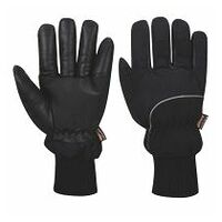 Apacha Koel-/Vriescel Handschoen Black L R