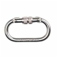 Schraubkarabiner Silber