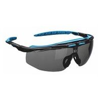 Gafas de seguridad Peak KN Smoke R