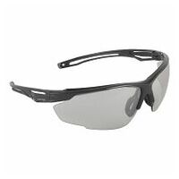 Gafas de seguridad Anthracite Mirror R