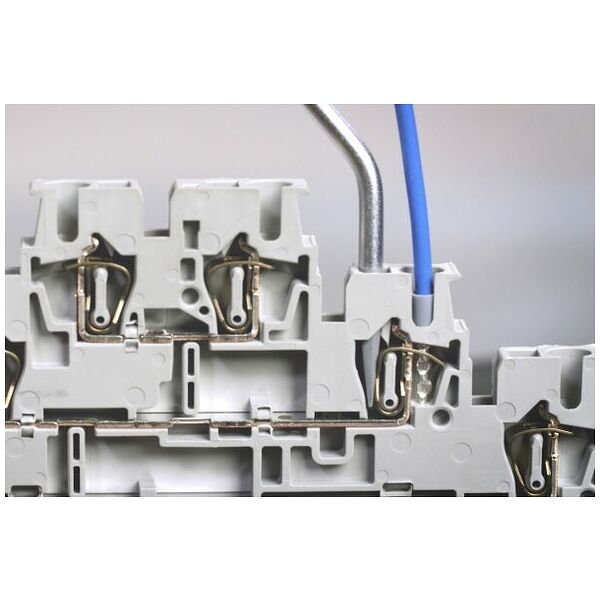 Dispositivo di azionamento delle morsettiere SoftFinish® A taglio 3,0 x 0,5 mm 3.0 mm x 70 mm ()