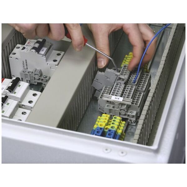 Dispositivo di azionamento delle morsettiere SoftFinish® A taglio 3,0 x 0,5 mm 3.0 mm x 70 mm ()