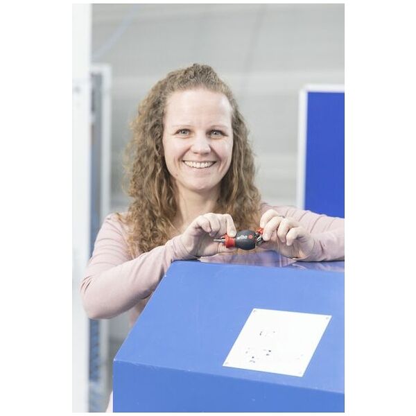 Tournevis porte-embout avec magasin d'embouts Phillips, fente avec 6 embouts, Stubby, 1/4″