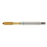 HOLEX Pro Form fluteless machine tap with oil grooves 6HX TiN