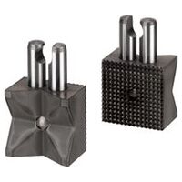 Gripping inserts for grippers - Prism