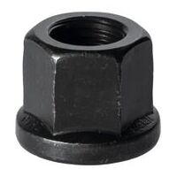 Collar nut