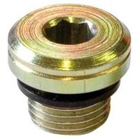 Locking screw