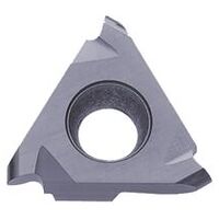 Hartmetall-Nuteinsatz - GBA43L100-050R PR2015