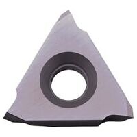 Carbide Threading Insert - TT43ER100M PR930