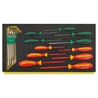 Jeu de tournevis DRALL+ TCS WT 4650-4665 24 pièces