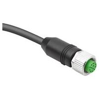 Stekker, Vorm A, met schroefverbinding, 12-polig, zwart, bus recht, Kunststof