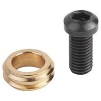 Spann-Exzenterschraube, mit Krallenscheiben, Einsatzstahl