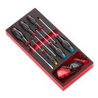 Inserție din spumă cu 6 șurubelnițe PROTWIST®, Hex & Torx