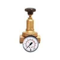 Regulador de presión DRV 200, versión estándar, G 1/4, 1, 5 - 8 bar