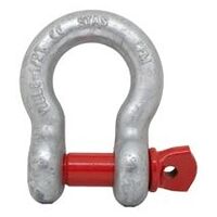 Shackle