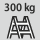 Steigtechnik Tragfähigkeit 300