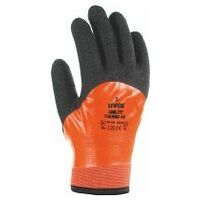 Pair of cold protection gloves uvex unilite thermo HD