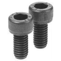 Xpent spare screw